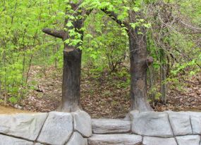 Landscaping Lakeland FL